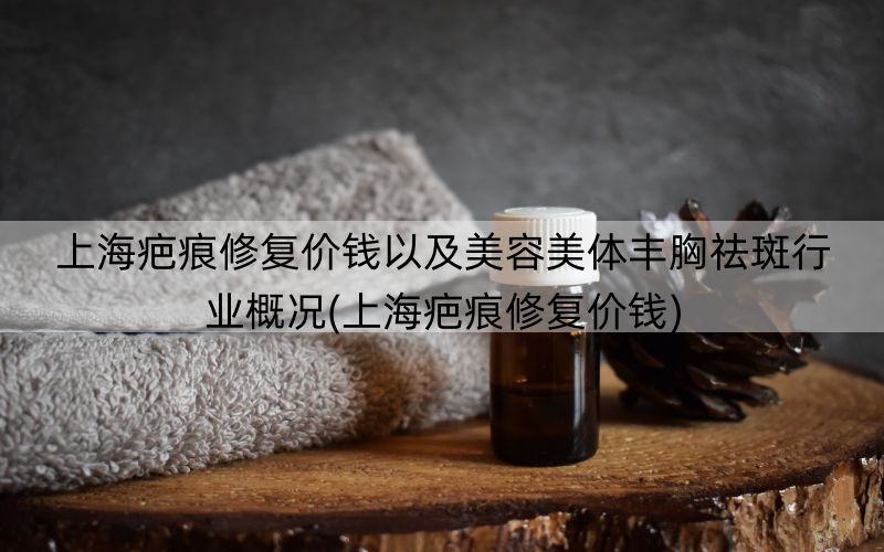 上海疤痕修复价钱以及美容美体丰胸祛斑行业概况(上海疤痕修复价钱)